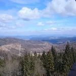 Drevenica Goralsky Dvor 木屋
