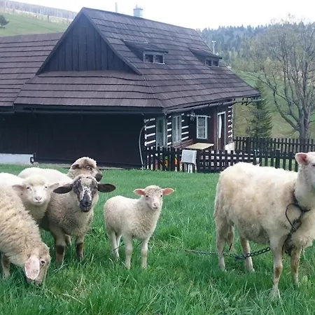 Drevenica Goralsky Dvor Domek alpejski *