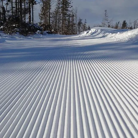 Drevenica Goralsky Dvor シャレー
