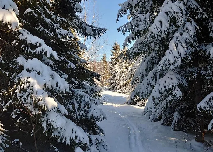 Drevenica Goralsky Dvor